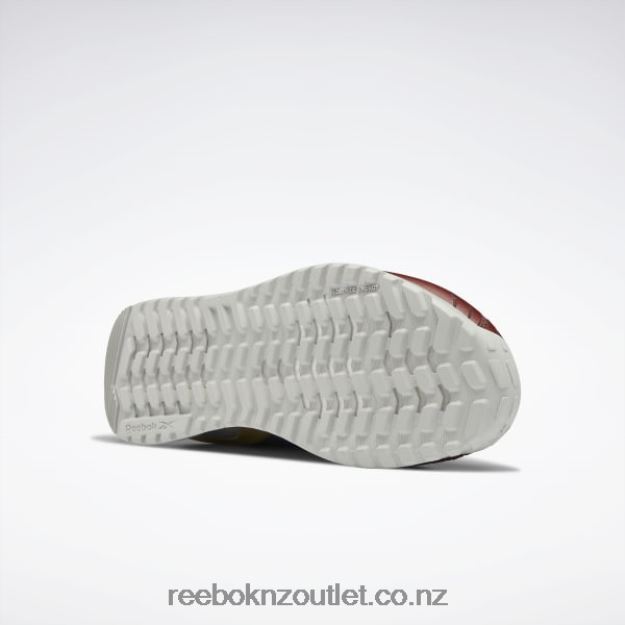 Terra Red/Brave Blue/Matte Gold 2B462698 DC Nano X2 Men\'s Training Shoes Reebok