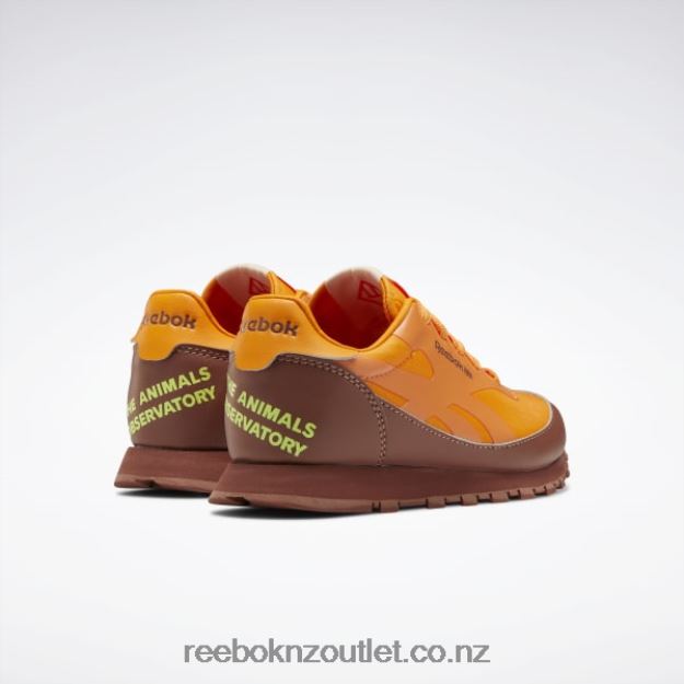 Boulder Brown/Bright Orange/Solar Acid Yellow 2B46261415 The Animals Observatory Classic Leather Shoes - Preschool Reebok Kids