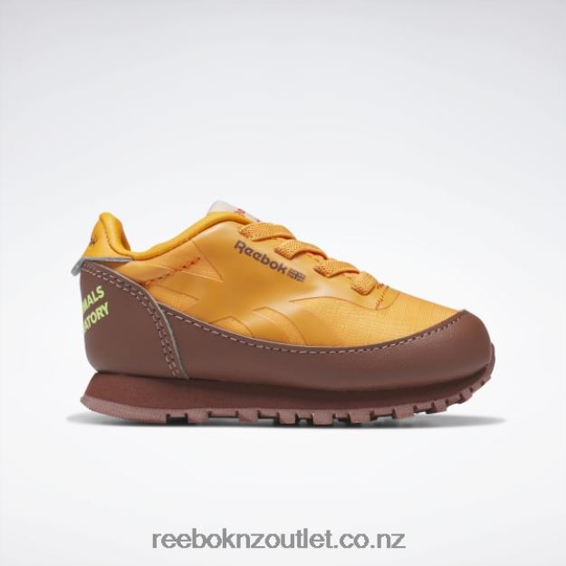 Boulder Brown/Bright Orange/Solar Acid Yellow