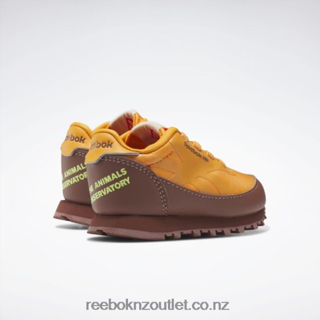 Boulder Brown/Bright Orange/Solar Acid Yellow 2B46261435 The Animals Observatory Classic Leather Shoes - Toddler Reebok Kids