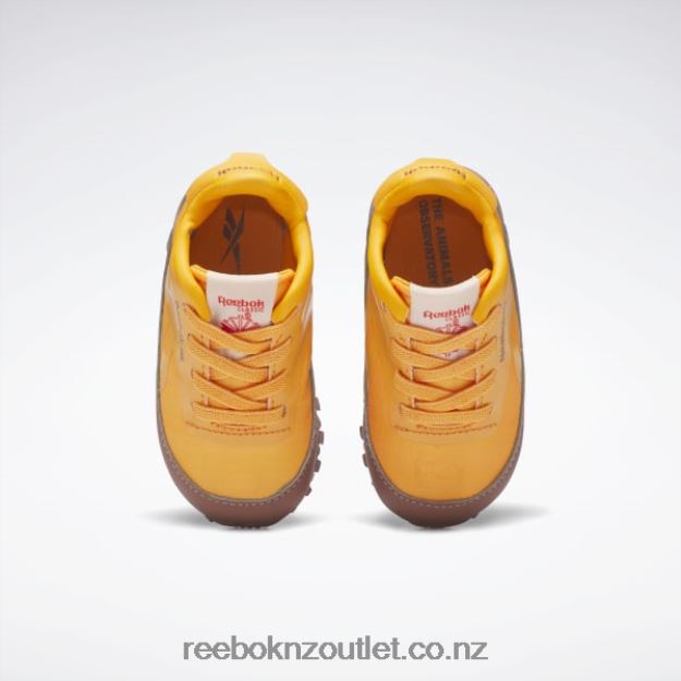 Boulder Brown/Bright Orange/Solar Acid Yellow 2B46261435 The Animals Observatory Classic Leather Shoes - Toddler Reebok Kids