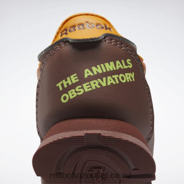Boulder Brown/Bright Orange/Solar Acid Yellow 2B46261435 The Animals Observatory Classic Leather Shoes - Toddler Reebok Kids