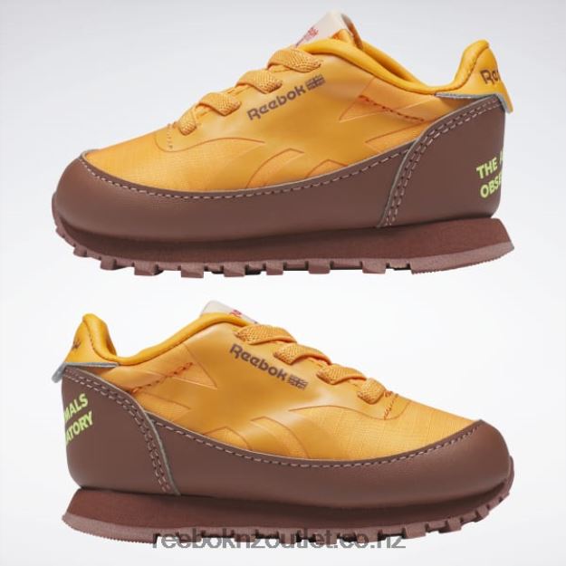 Boulder Brown/Bright Orange/Solar Acid Yellow 2B46261435 The Animals Observatory Classic Leather Shoes - Toddler Reebok Kids