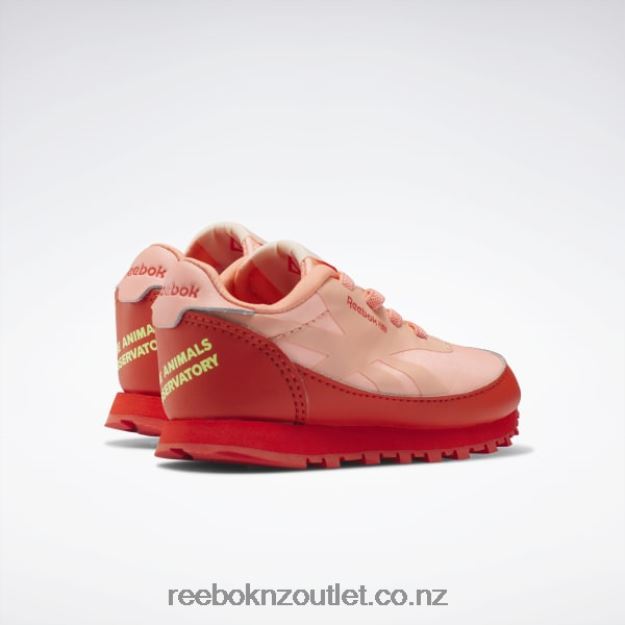 Racer Red/Solar Acid Yellow 2B46261401 The Animals Observatory Classic Leather Shoes - Toddler Reebok Kids