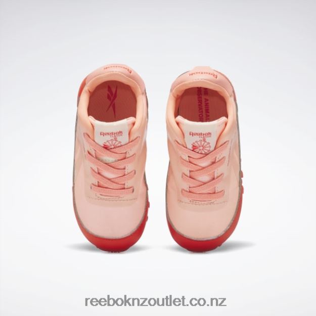 Racer Red/Solar Acid Yellow 2B46261401 The Animals Observatory Classic Leather Shoes - Toddler Reebok Kids