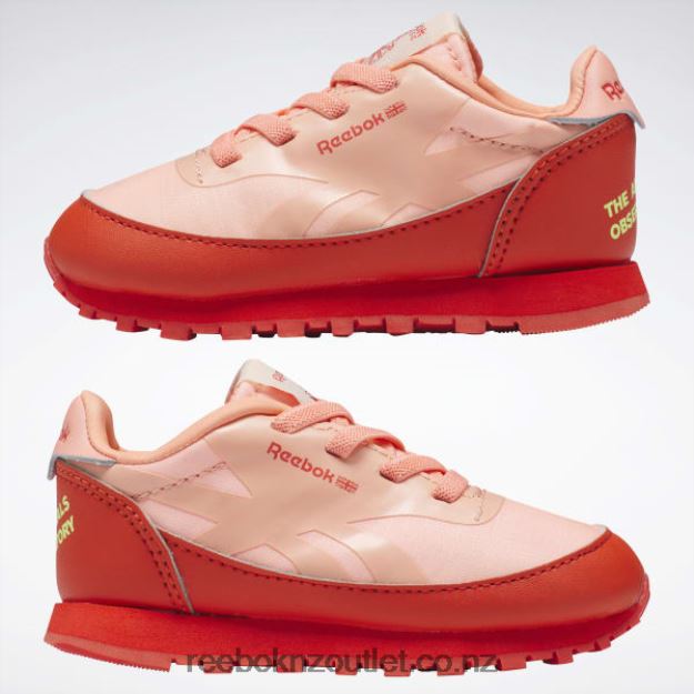 Racer Red/Solar Acid Yellow 2B46261401 The Animals Observatory Classic Leather Shoes - Toddler Reebok Kids