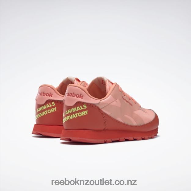 Racer Red/Solar Acid Yellow 2B46261426 The Animals Observatory Classic Leather Shoes - Preschool Reebok Kids