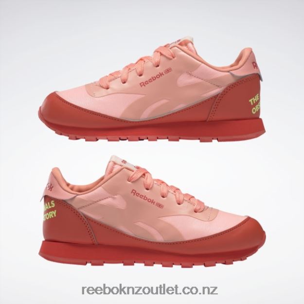 Racer Red/Solar Acid Yellow 2B46261426 The Animals Observatory Classic Leather Shoes - Preschool Reebok Kids