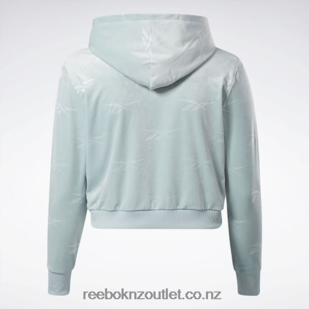 Seaside Grey 2B4626899 Classics Energy Q4 Velour Zip-Up Sweatshirt (Plus Size) Reebok Women