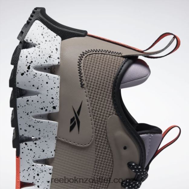 Taupe/Purple Oasis/Ftwr White 2B462644 Zig Dynamica Adventure Women\'s Shoes Reebok